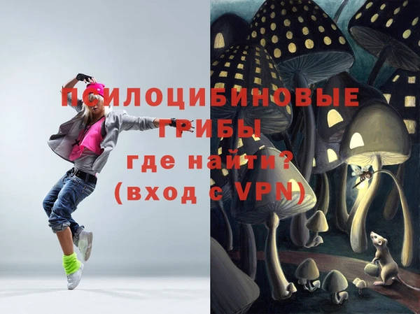 шишки Домодедово