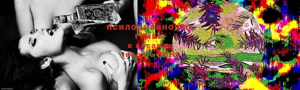 шишки Домодедово