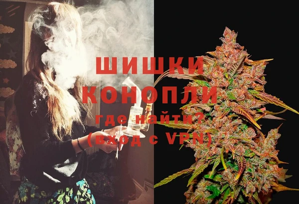 шишки Домодедово