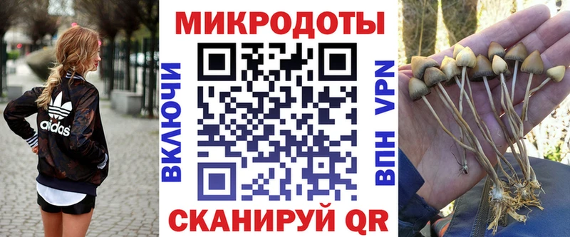 Галлюциногенные грибы Psilocybine cubensis как найти наркотики Вытегра
